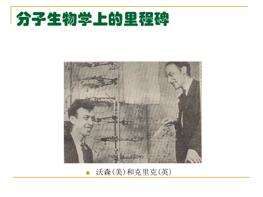 DNA的结构和复制01.ppt_第2页