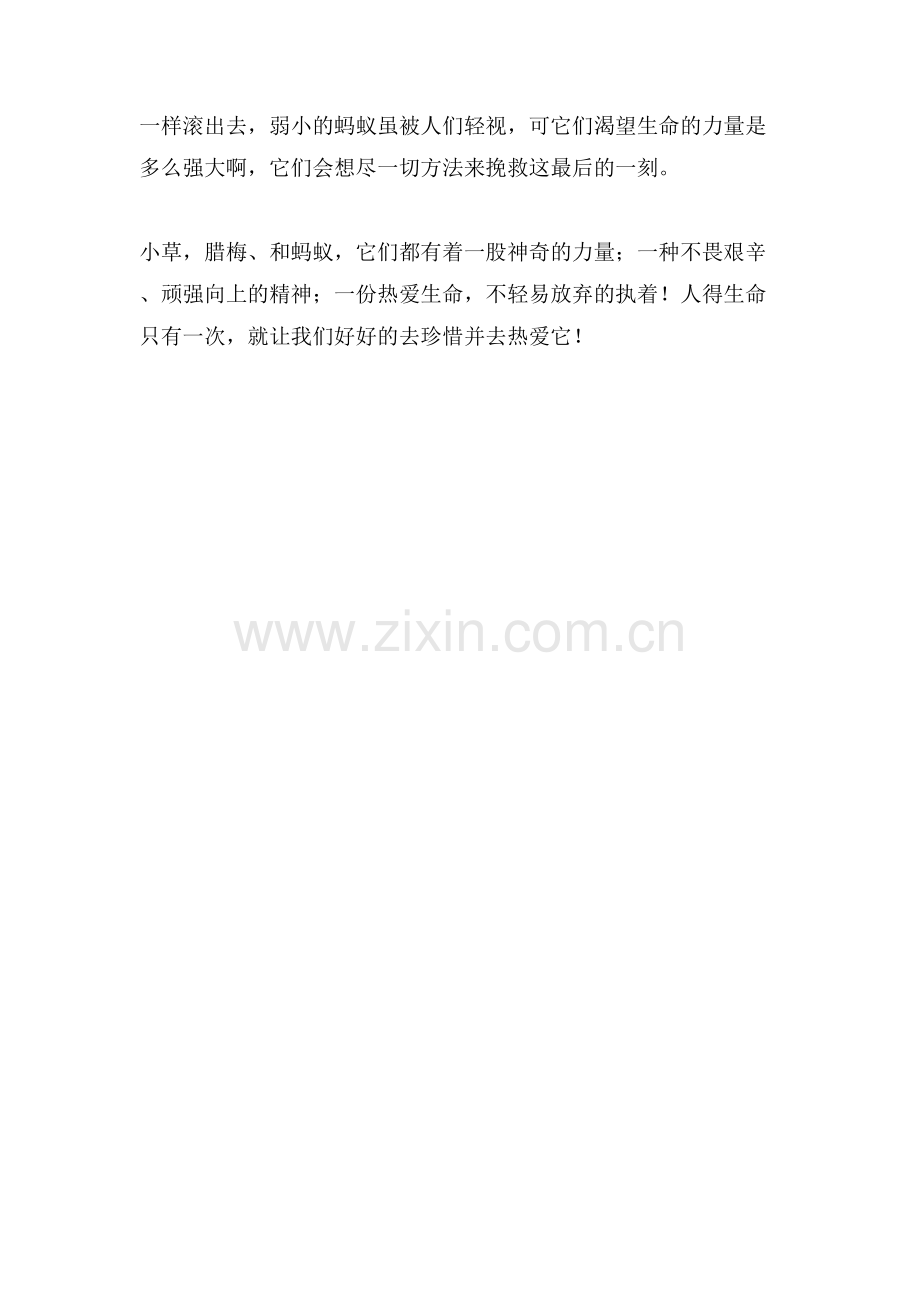 生命的感悟优秀作文600字.doc_第2页