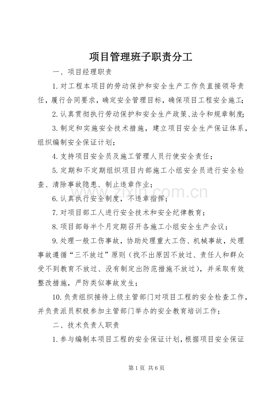 项目管理班子职责要求分工 (2).docx_第1页