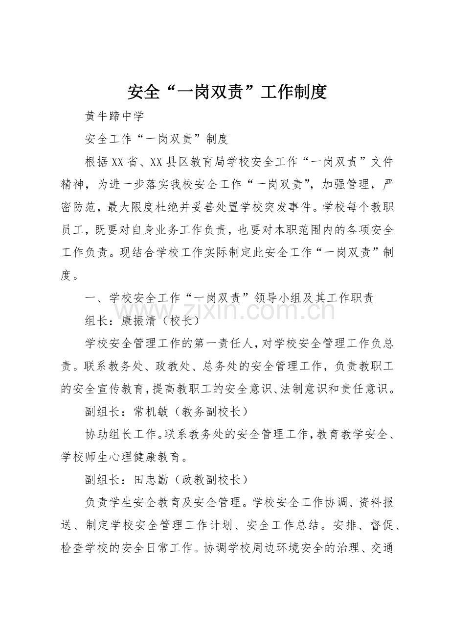 安全“一岗双责”工作规章制度细则.docx_第1页