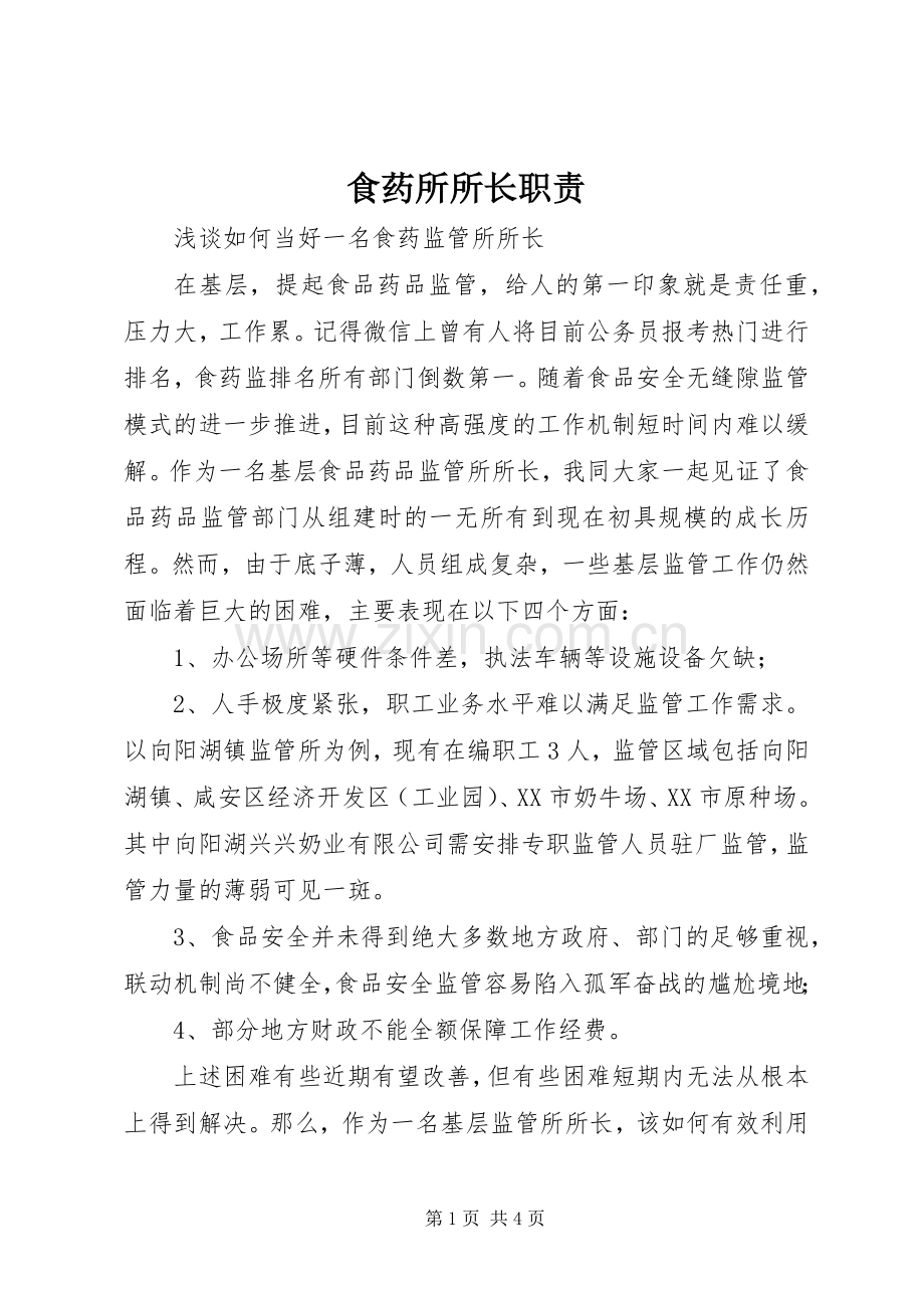食药所所长职责要求.docx_第1页
