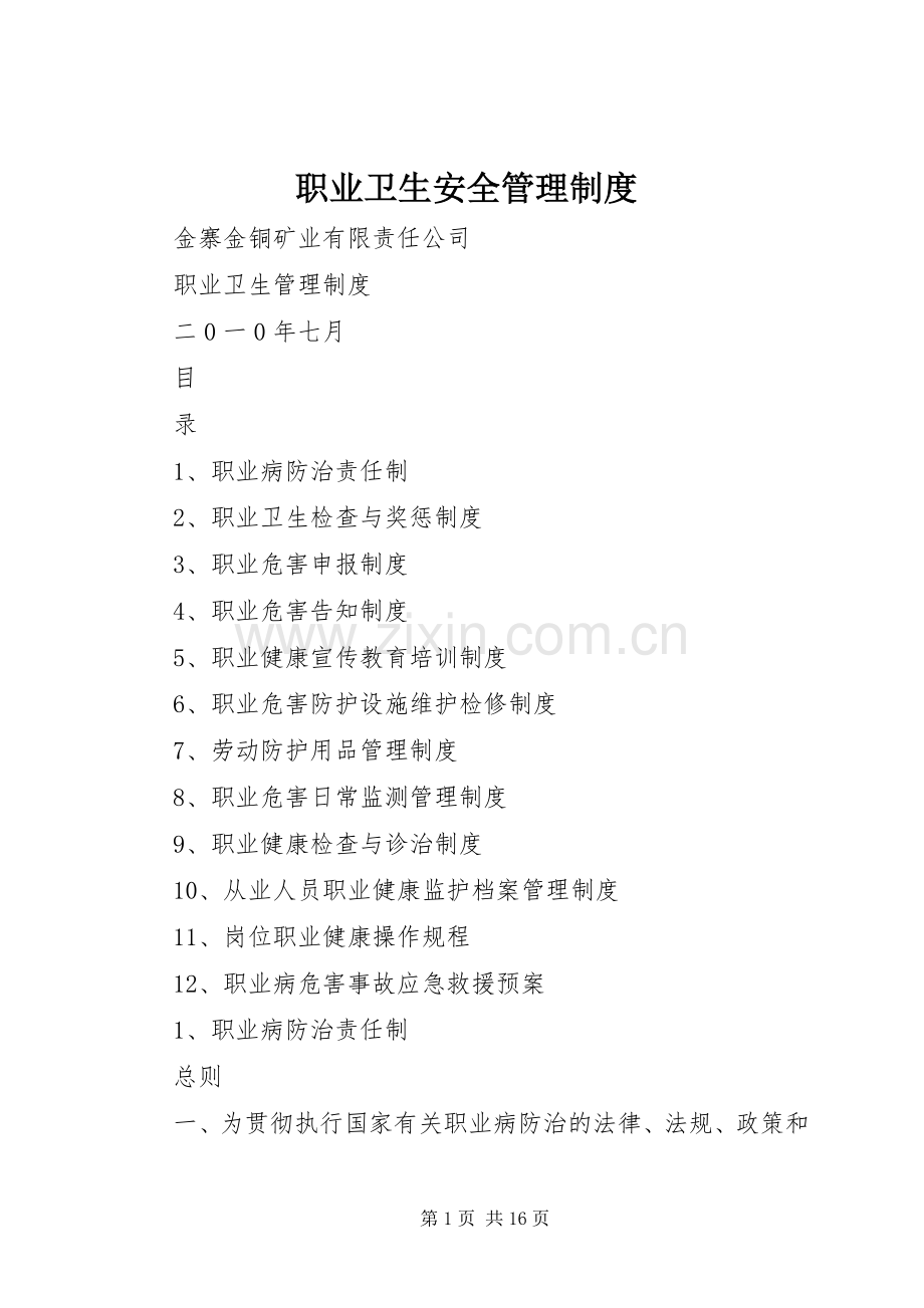 职业卫生安全管理规章制度.docx_第1页