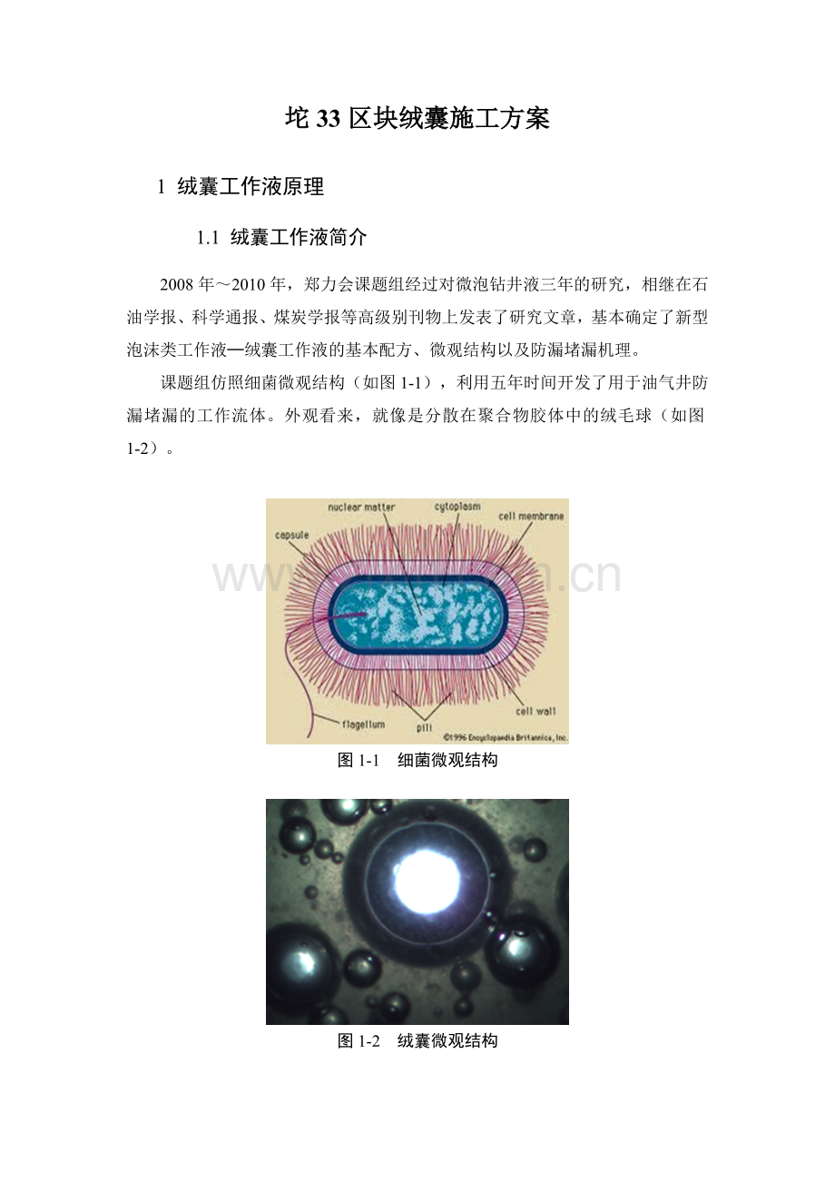 绒囊工作液简介.docx_第1页