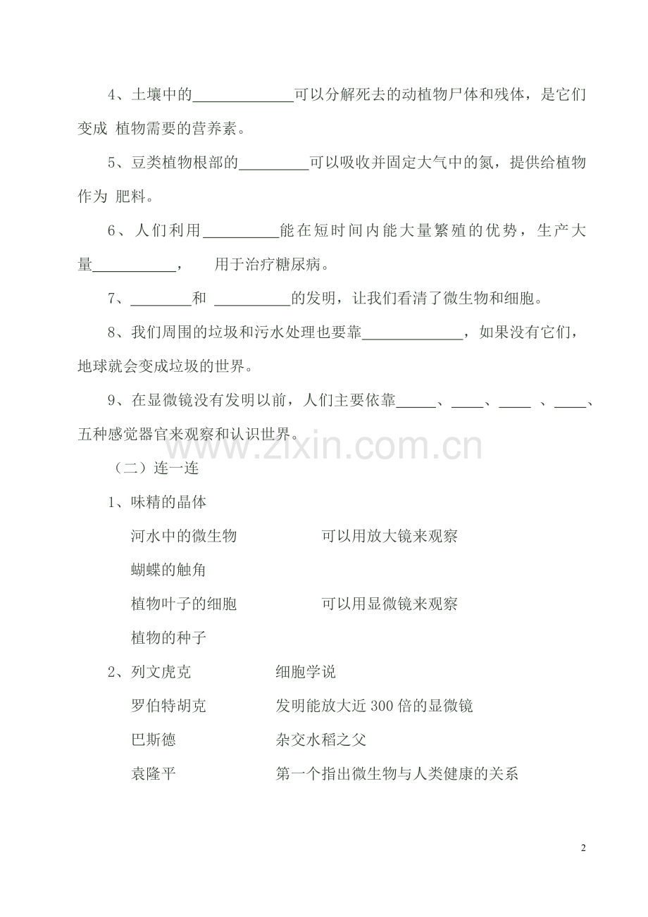 微小世界和我们.docx_第2页