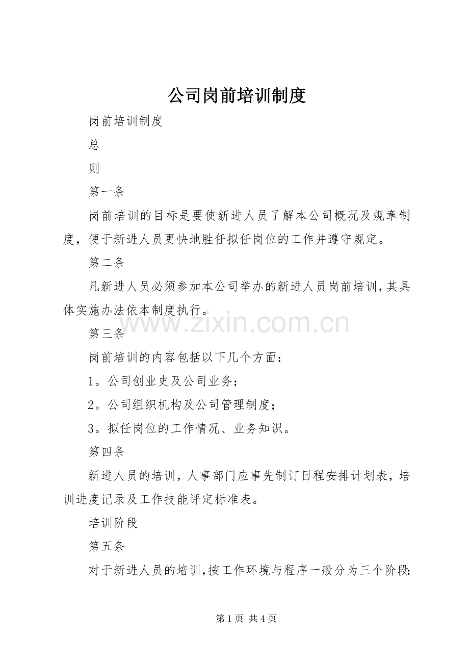 公司岗前培训规章制度 (2).docx_第1页