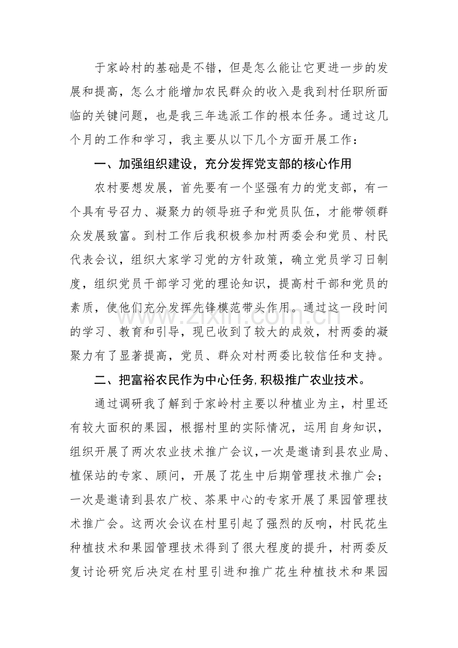 于家岭村_第一书记_工作总结.doc_第2页