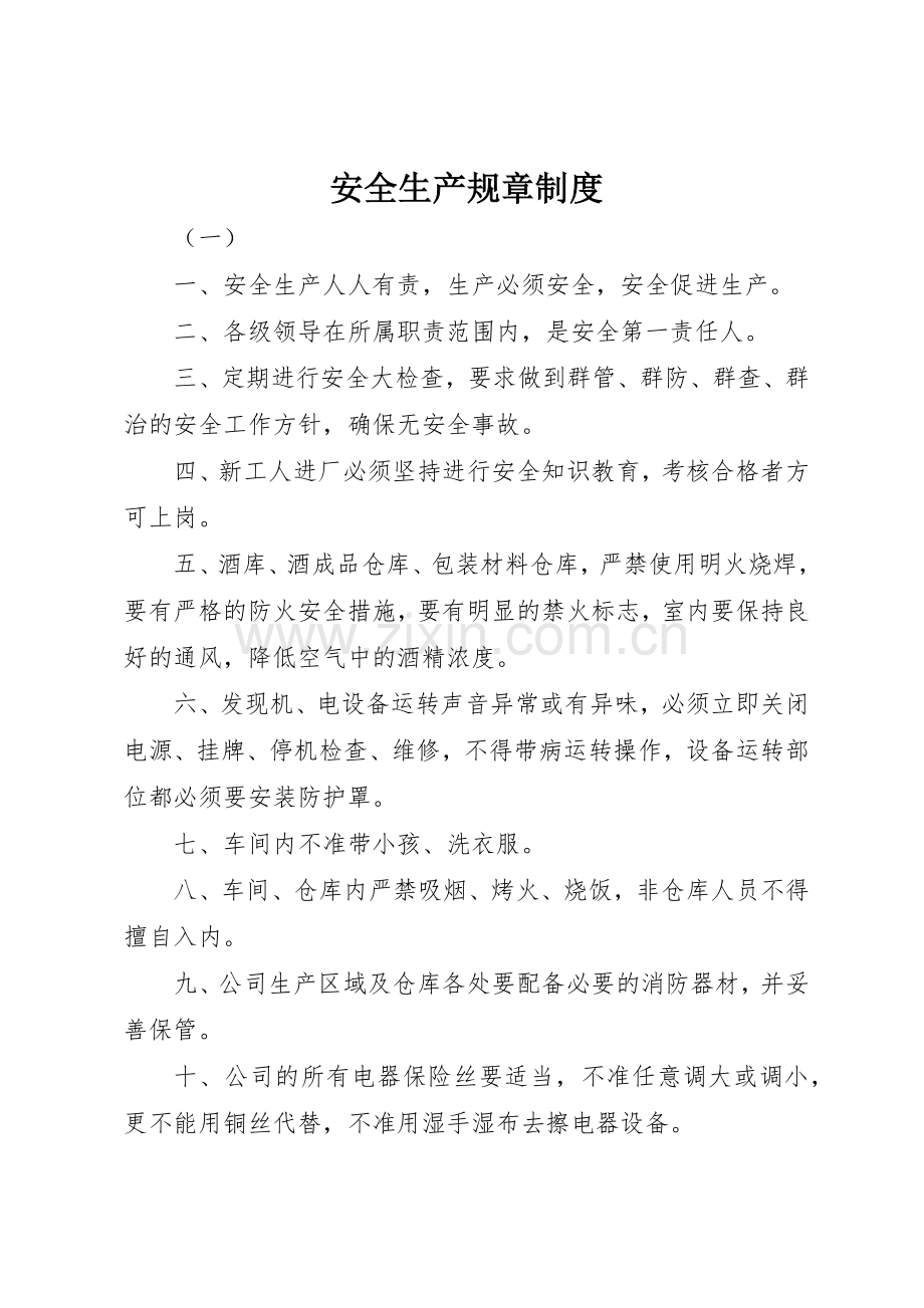 安全生产规章规章制度 (17).docx_第1页