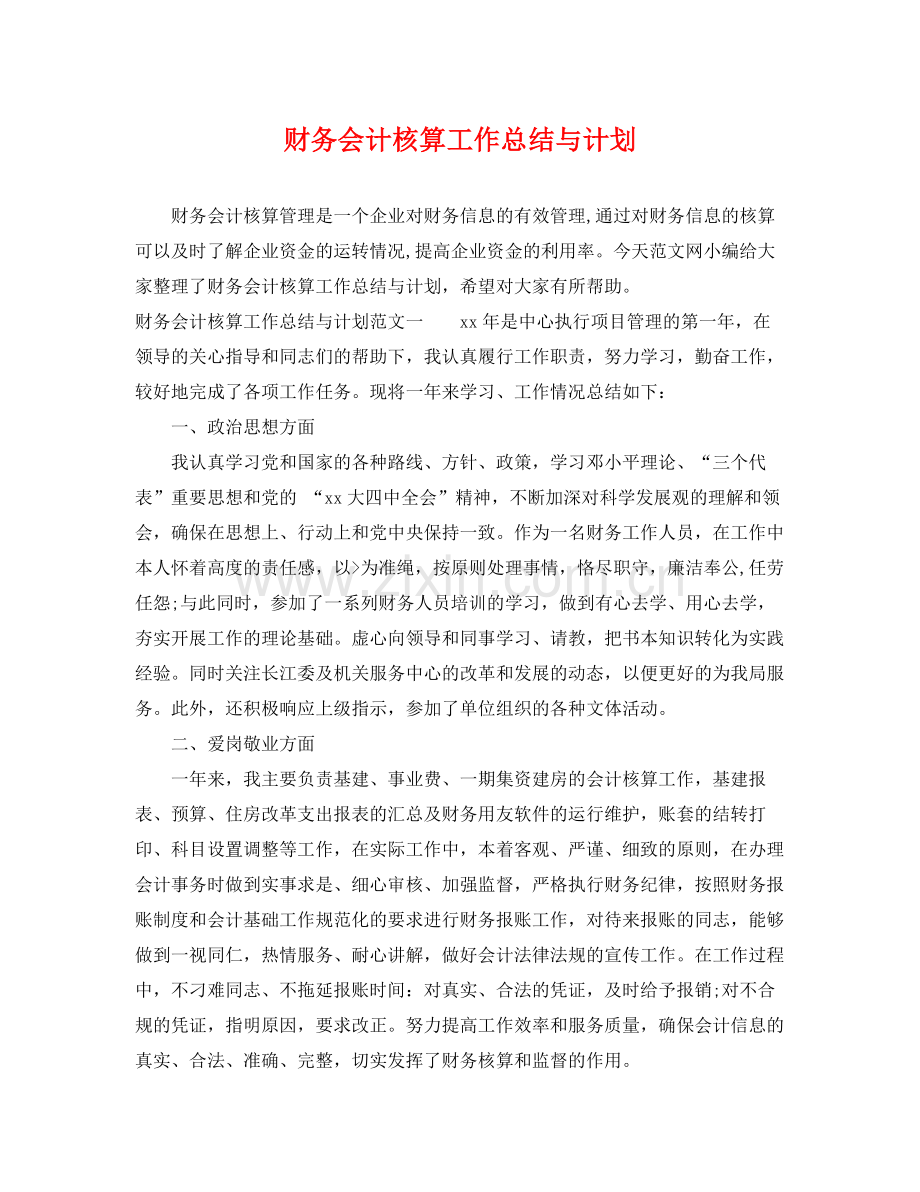 财务会计核算工作总结与计划 .docx_第1页