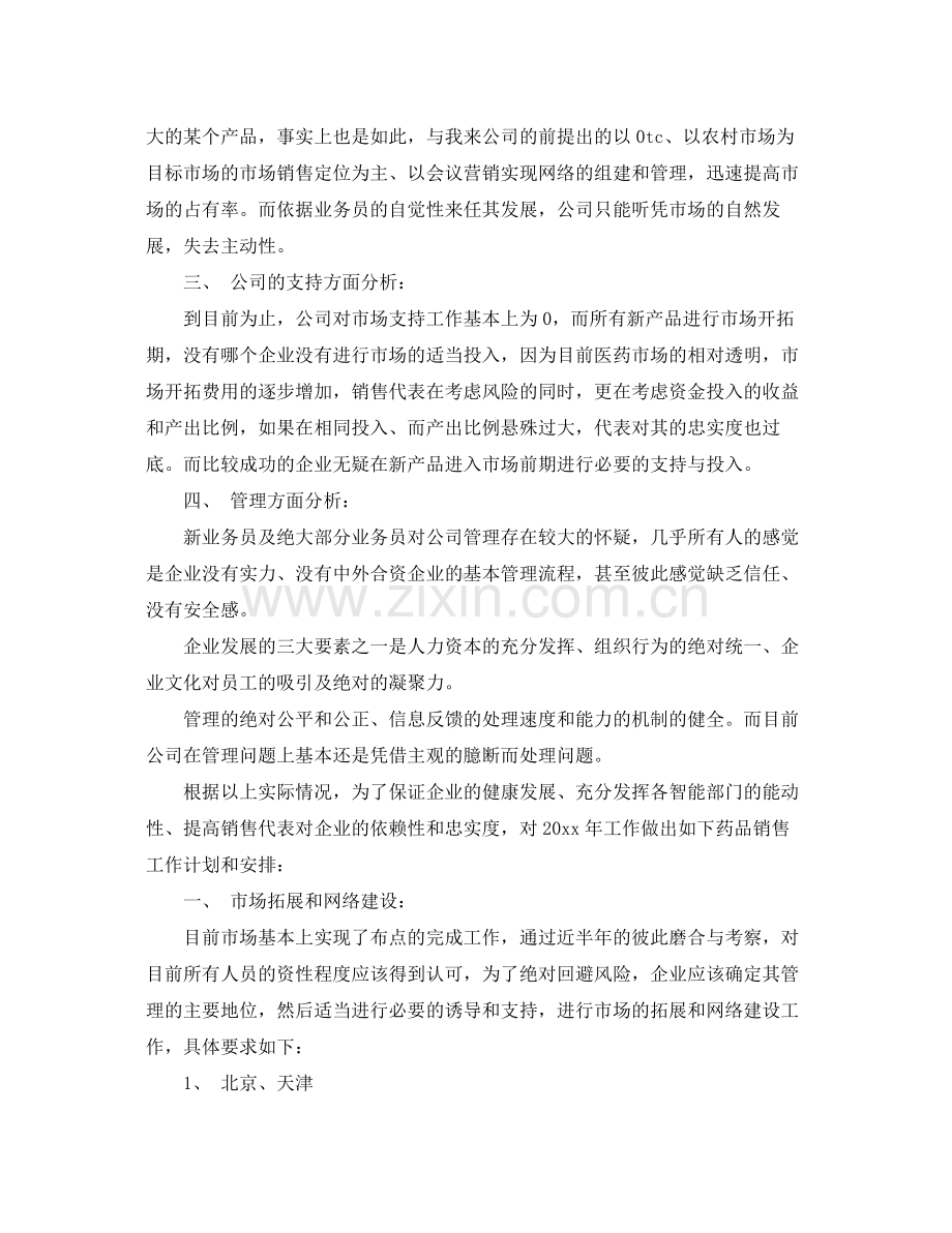 医药公司个人工作计划 .docx_第2页