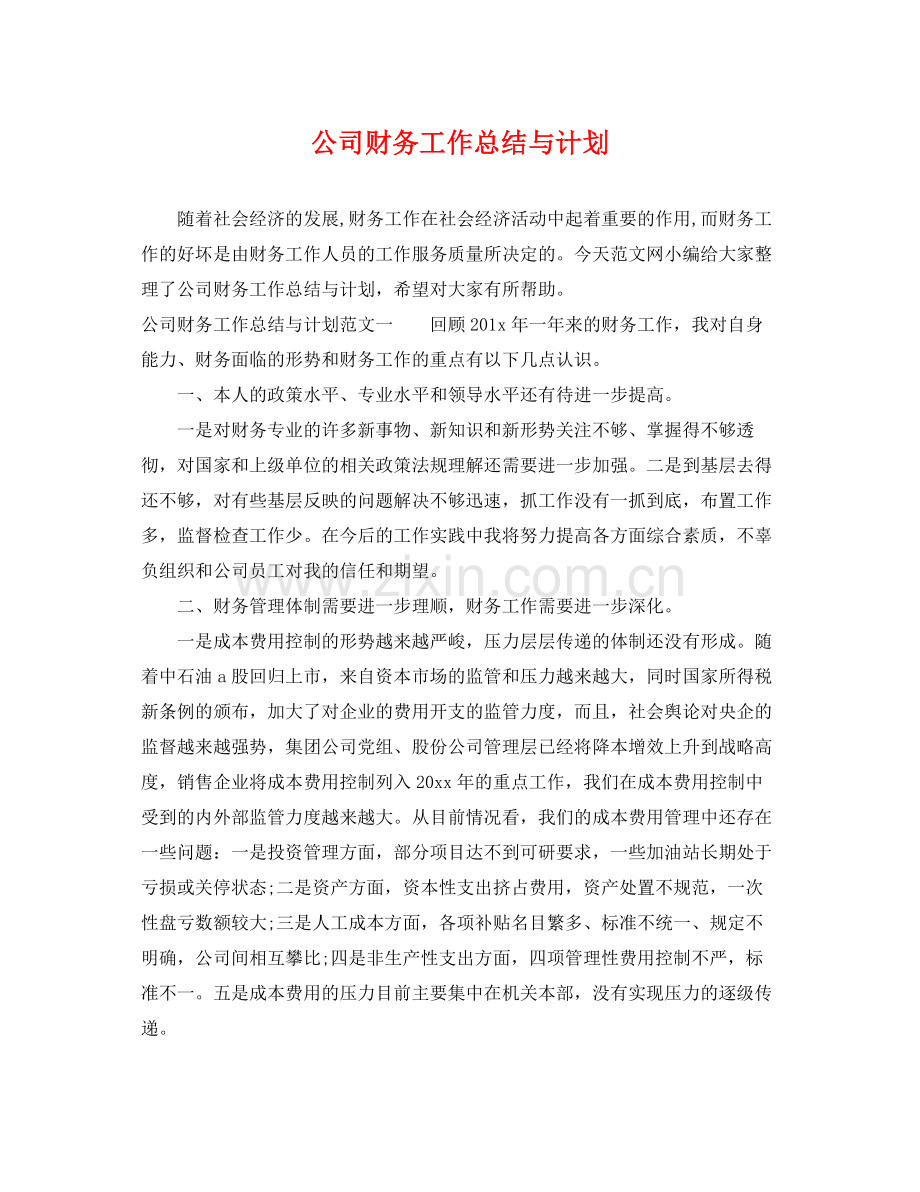 公司财务工作总结与计划 .docx_第1页