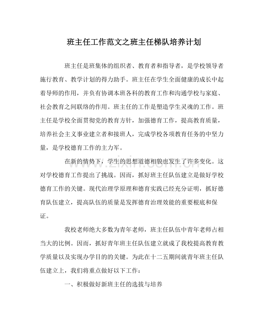 班主任工作范文班主任梯队培养计划.docx_第1页