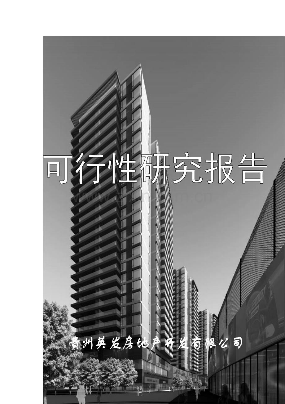 富源同座可行性报告：大型房地产项目前期不可多得的报告.doc_第1页