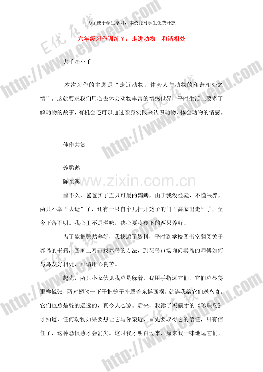六年级习作训练7：走进动物-及谐相处.doc_第1页