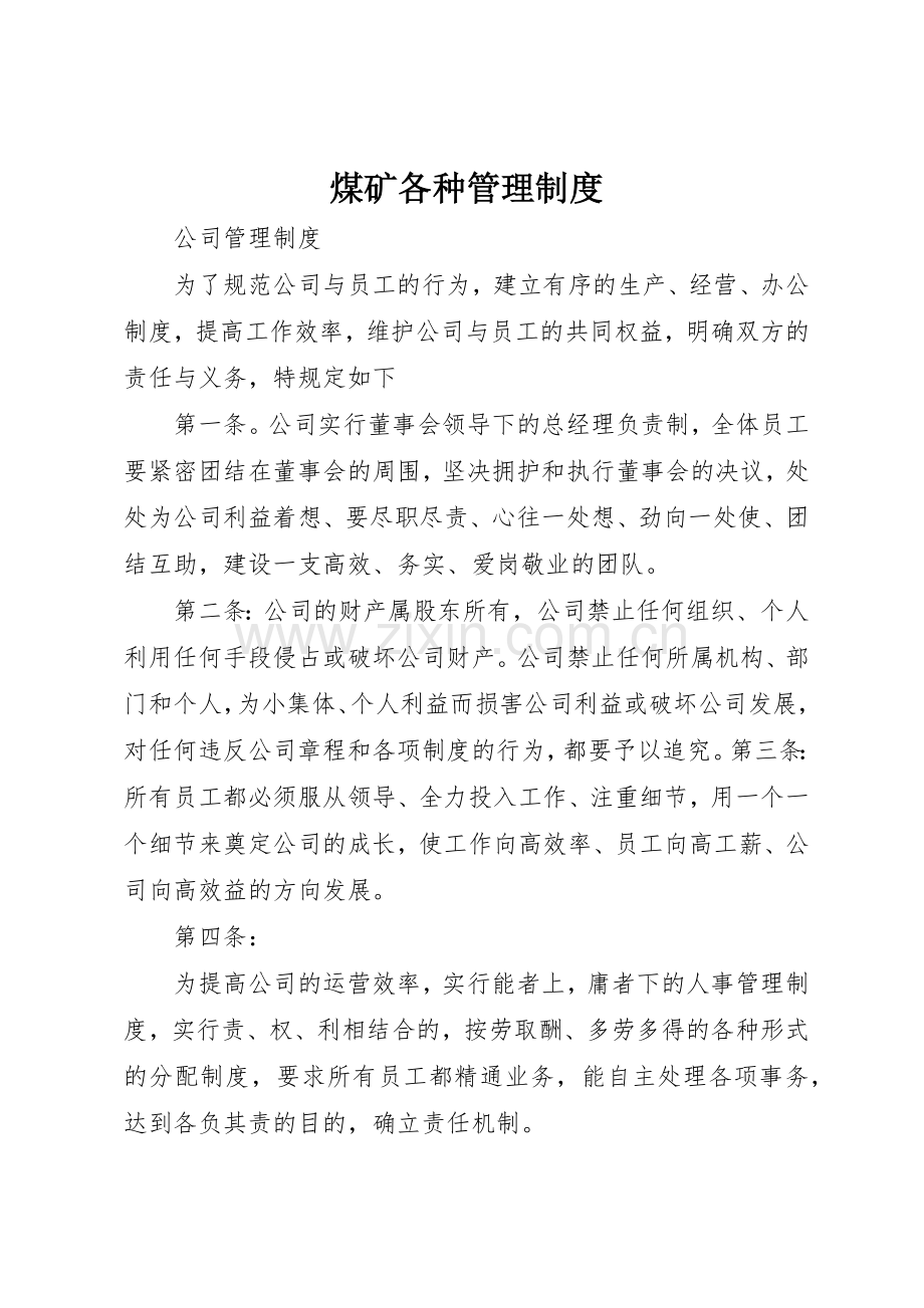 煤矿各种管理规章制度细则.docx_第1页