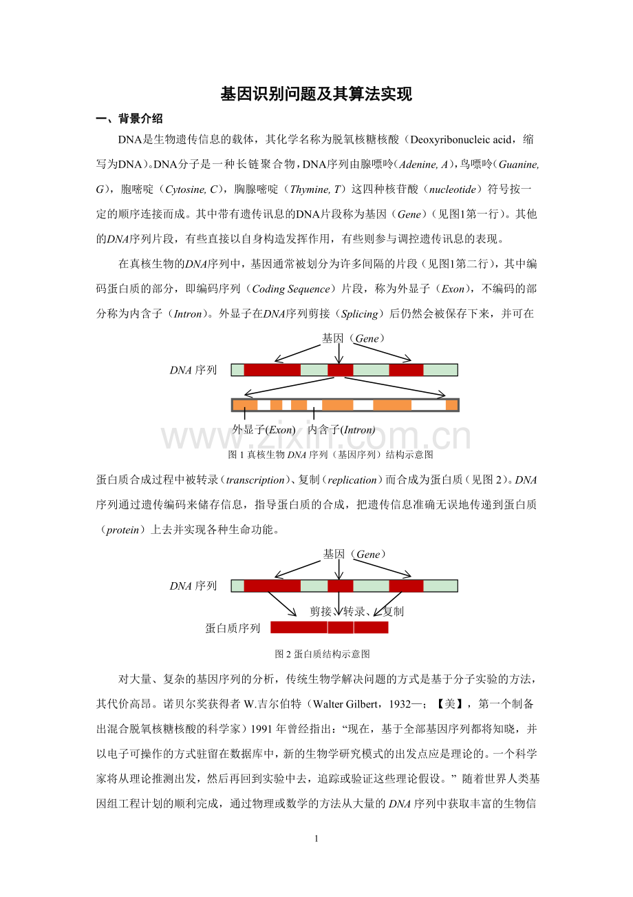 基因识别问题及其算法实现.doc_第1页