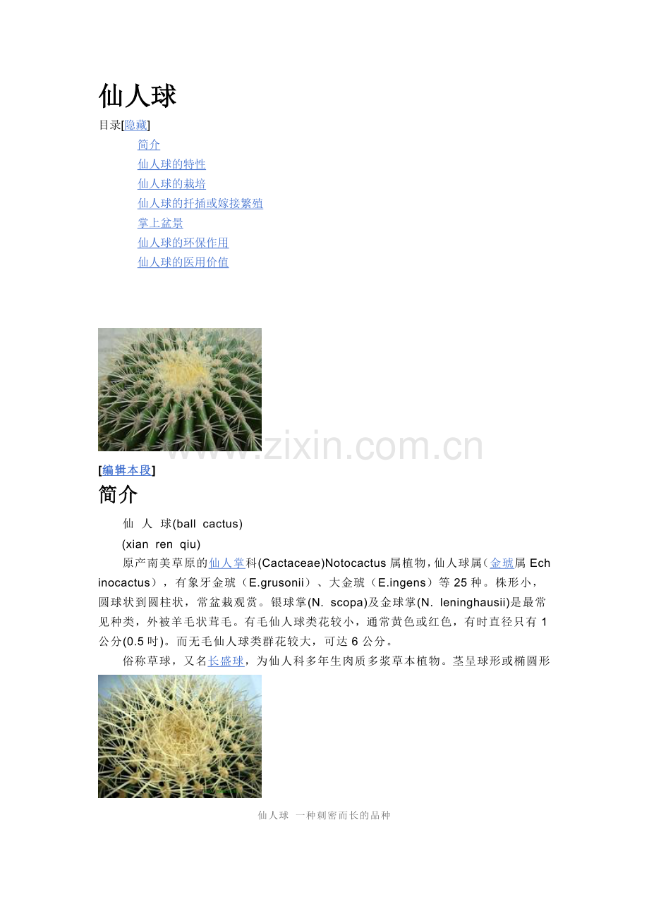 仙人球养殖知识.doc_第1页