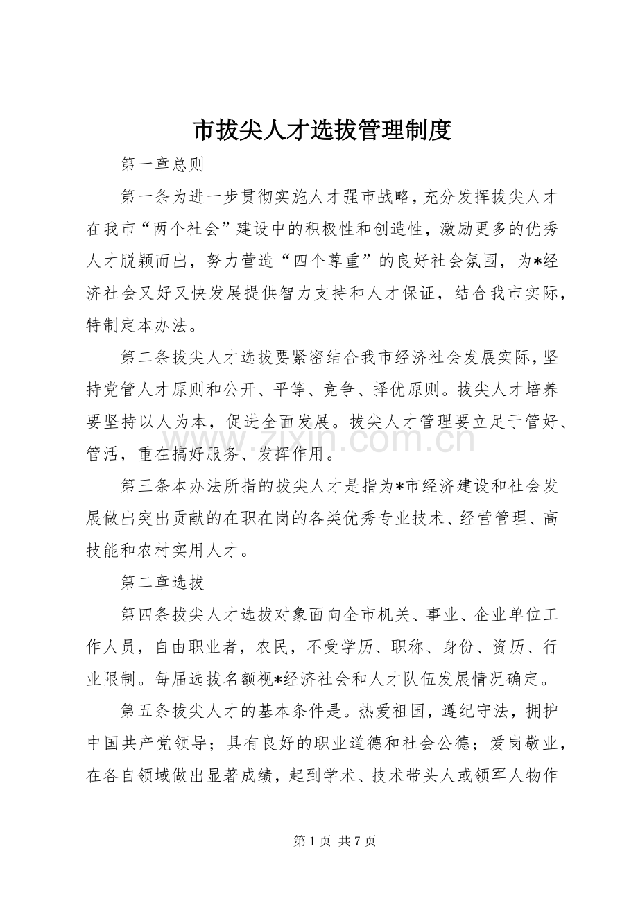 市拔尖人才选拔管理规章制度.docx_第1页