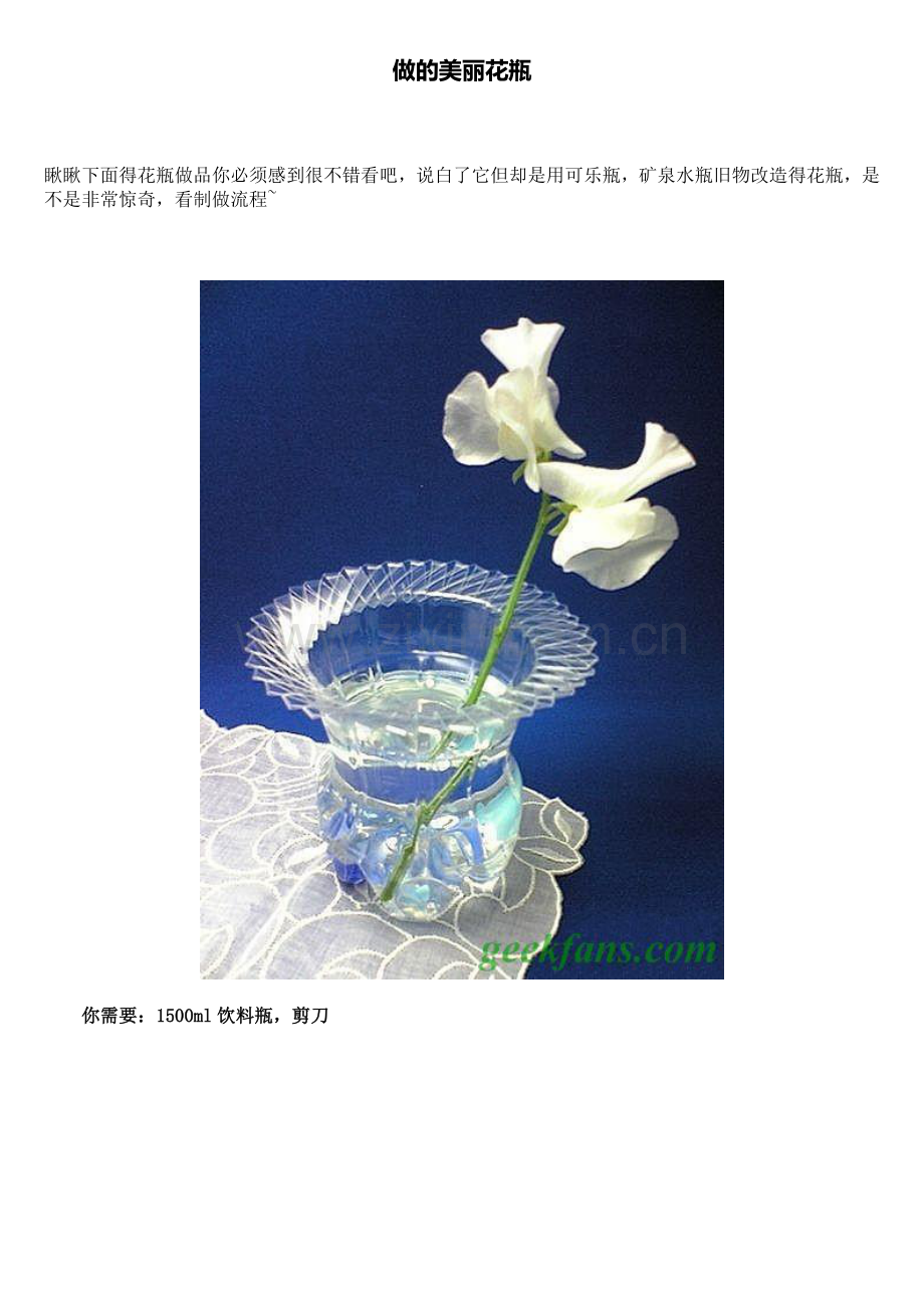 做的美丽花瓶.doc_第1页