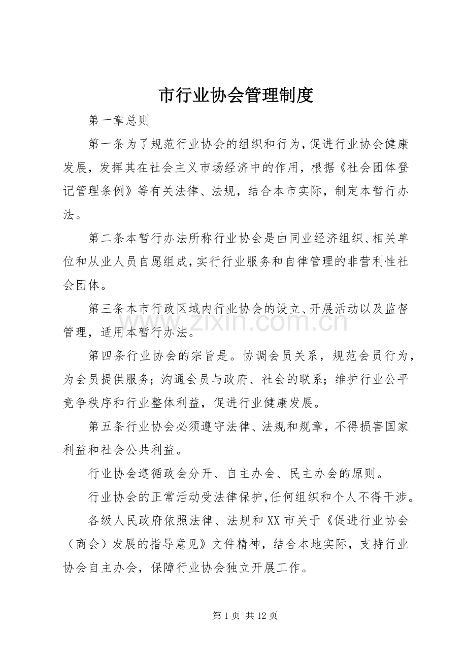 市行业协会管理规章制度.docx_第1页