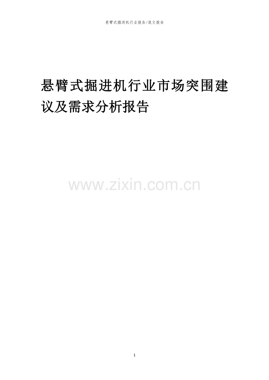 2023年悬臂式掘进机行业市场突围建议及需求分析报告.docx_第1页