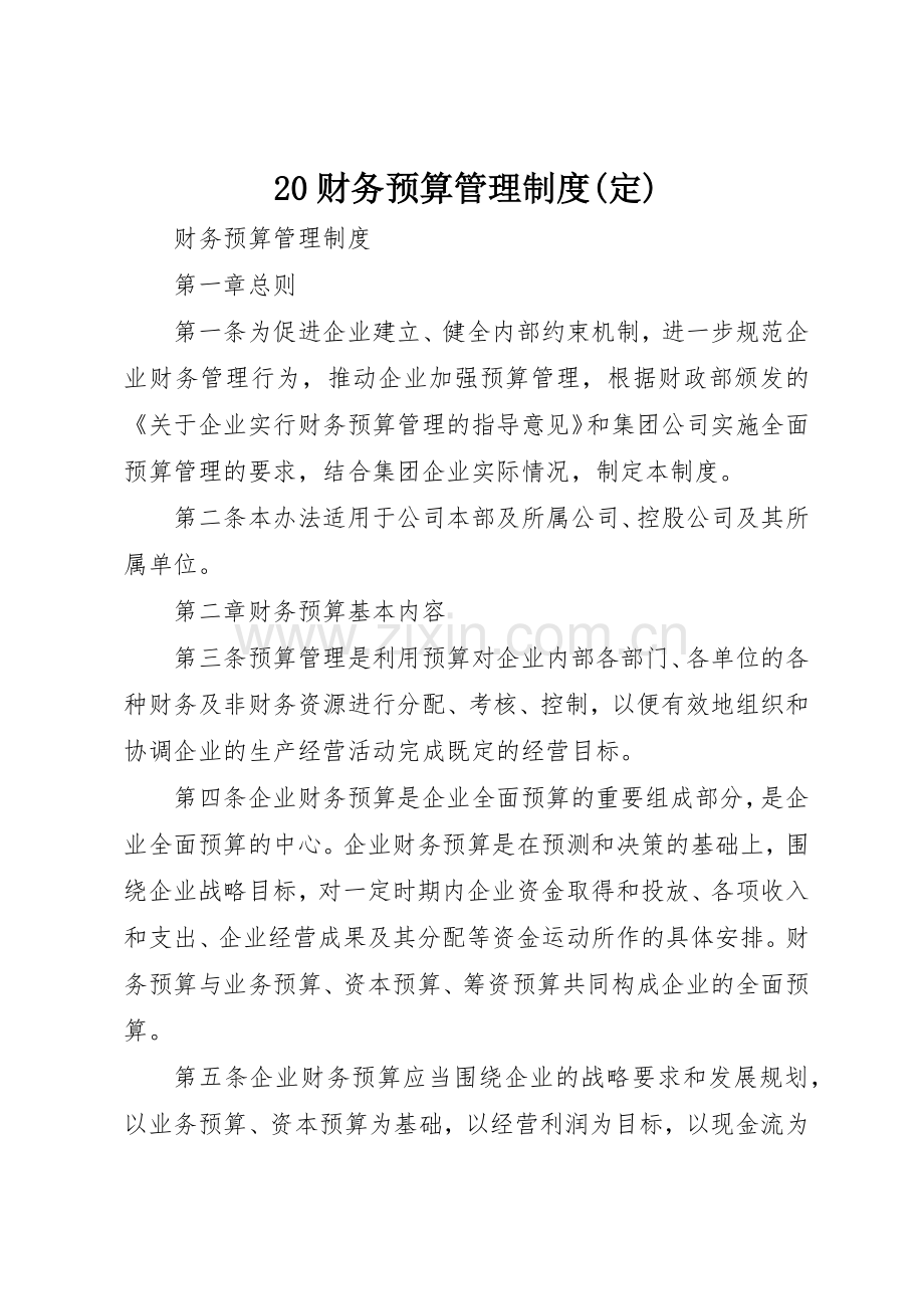 财务预算管理规章制度细则(定).docx_第1页