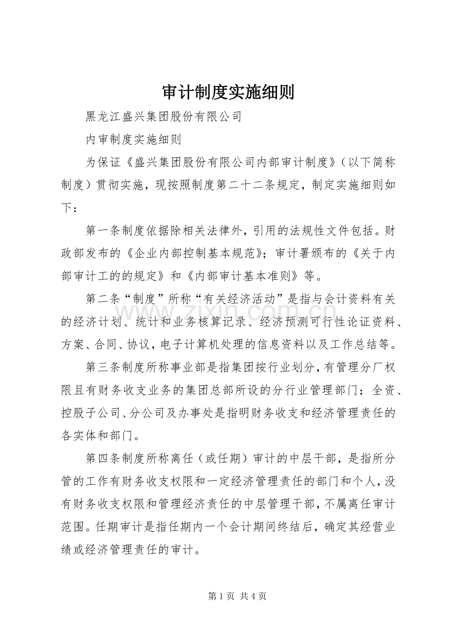 审计规章制度实施细则.docx_第1页