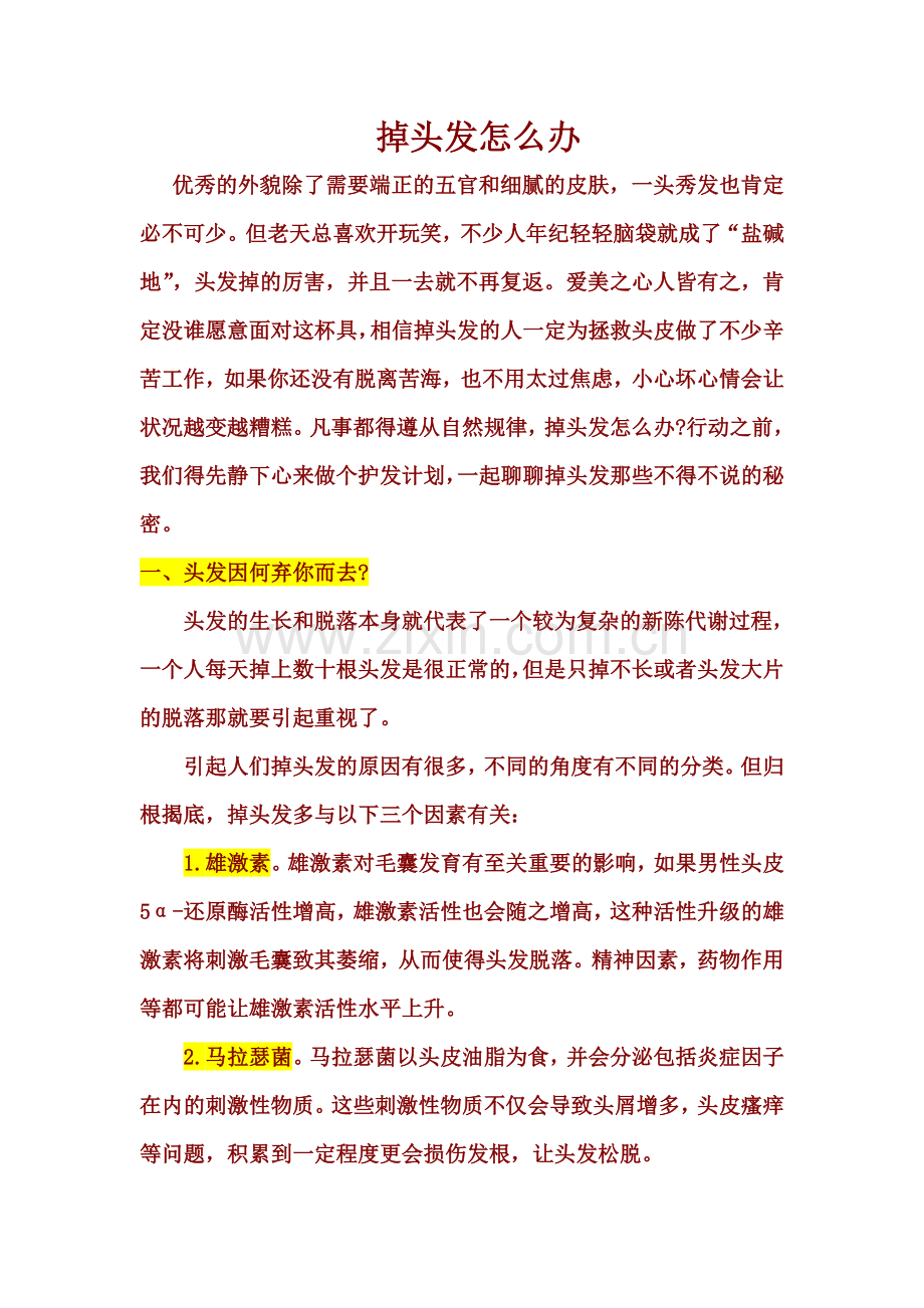 掉头发怎么办.doc_第1页