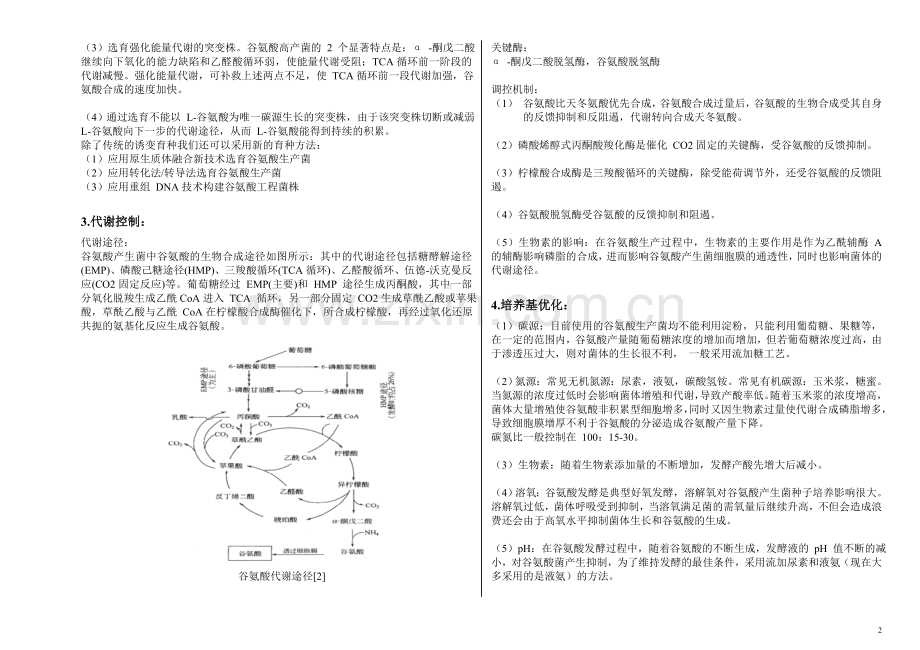 微生物工艺学论文《谷氨酸发酵总结》1.doc_第2页