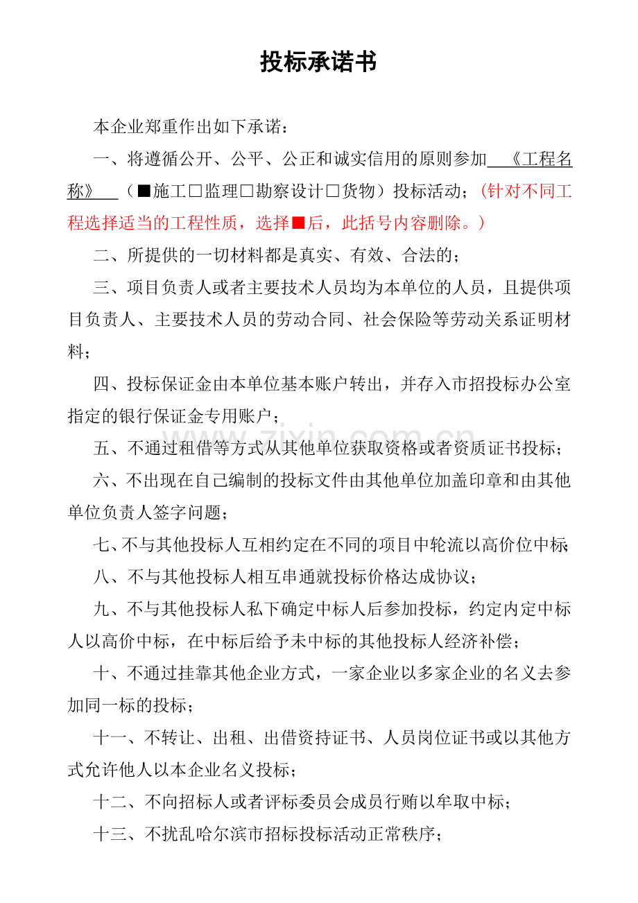 投标人承诺书.doc_第1页