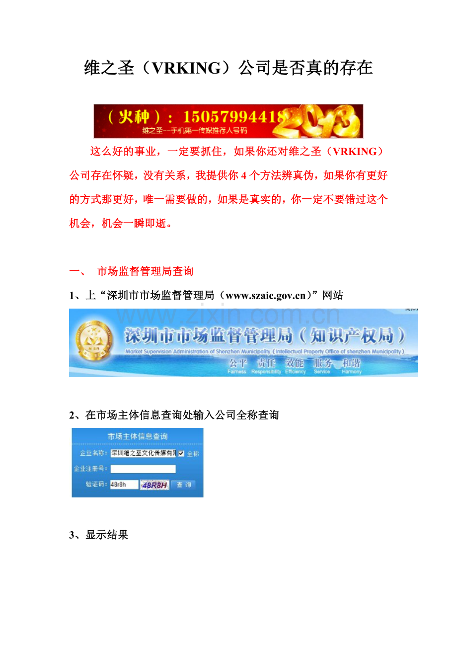 维之圣（VRKING）公司工商登记资料.doc_第1页