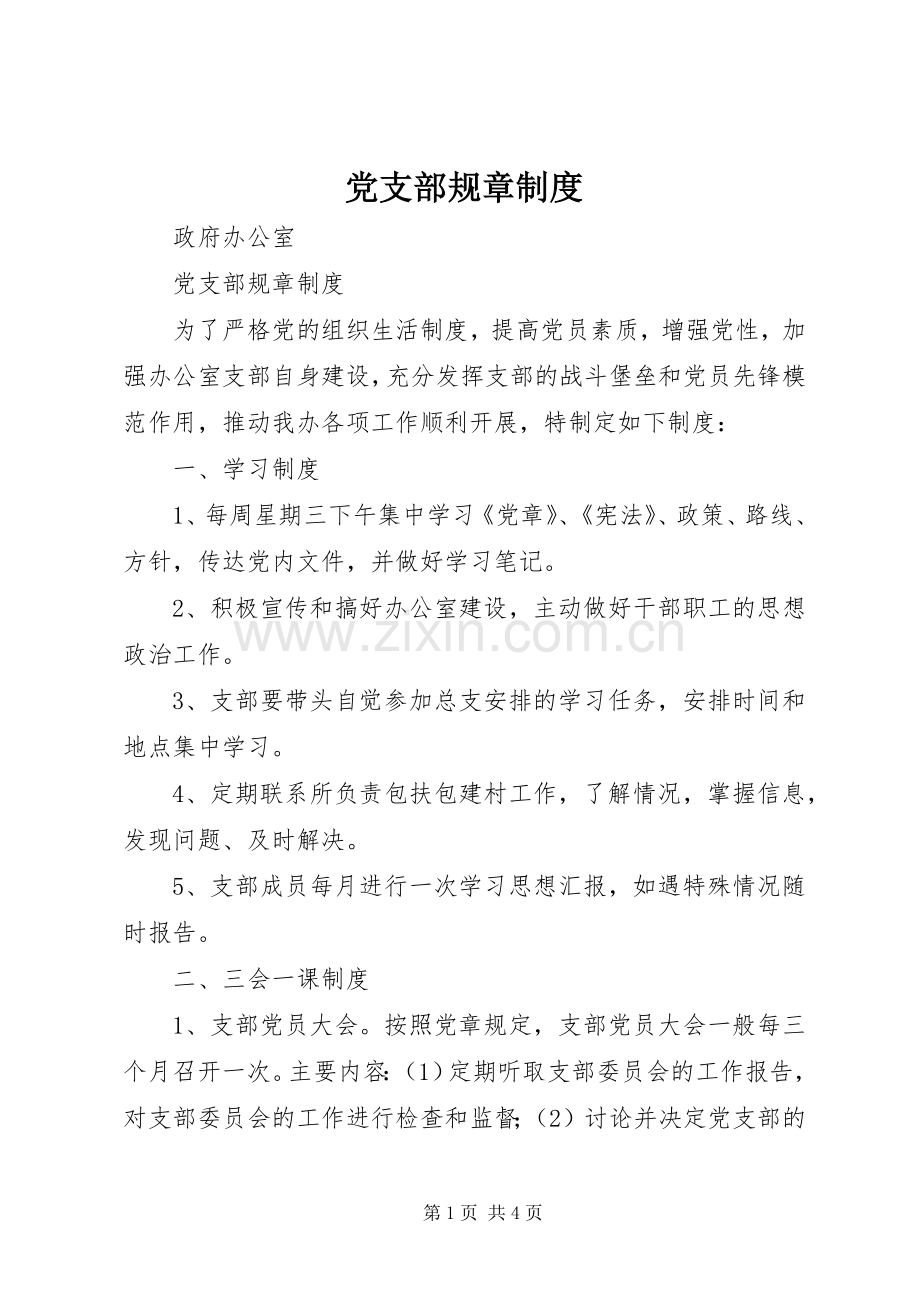 党支部规章规章制度细则 (2).docx_第1页