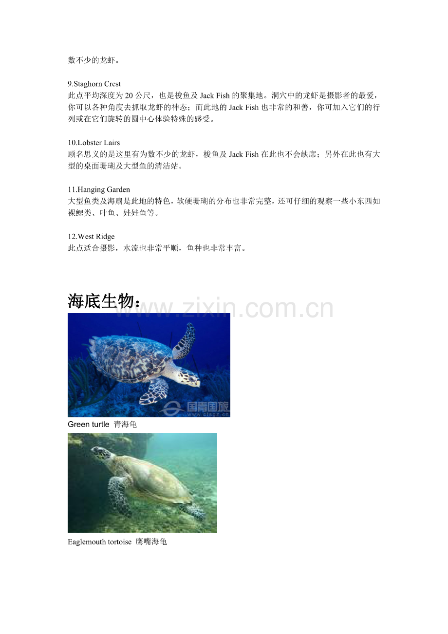 诗巴丹潜点介绍及海洋生物.doc_第2页