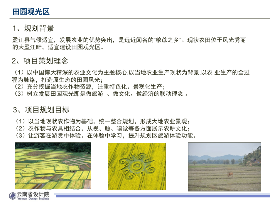 田园观光区项目策划.ppt_第2页