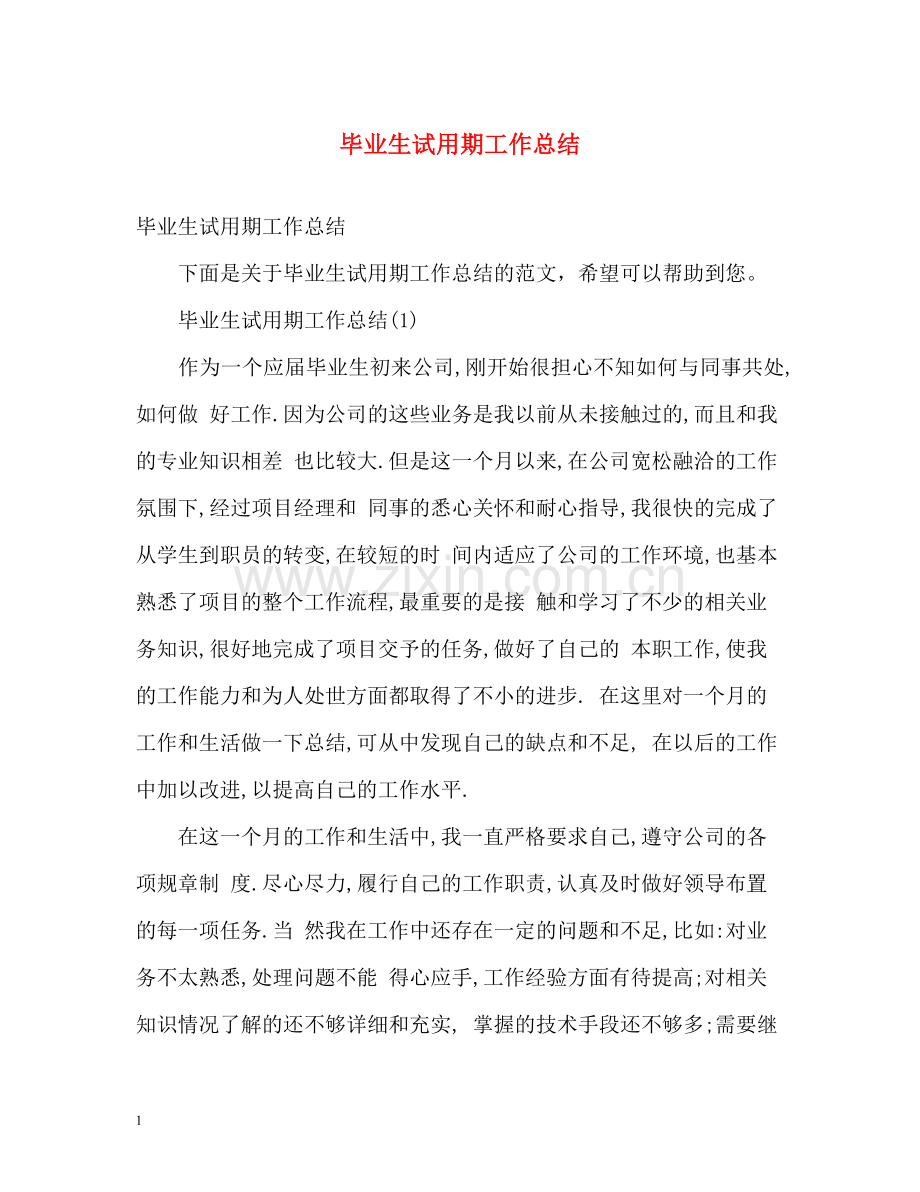 毕业生试用期工作总结.docx_第1页