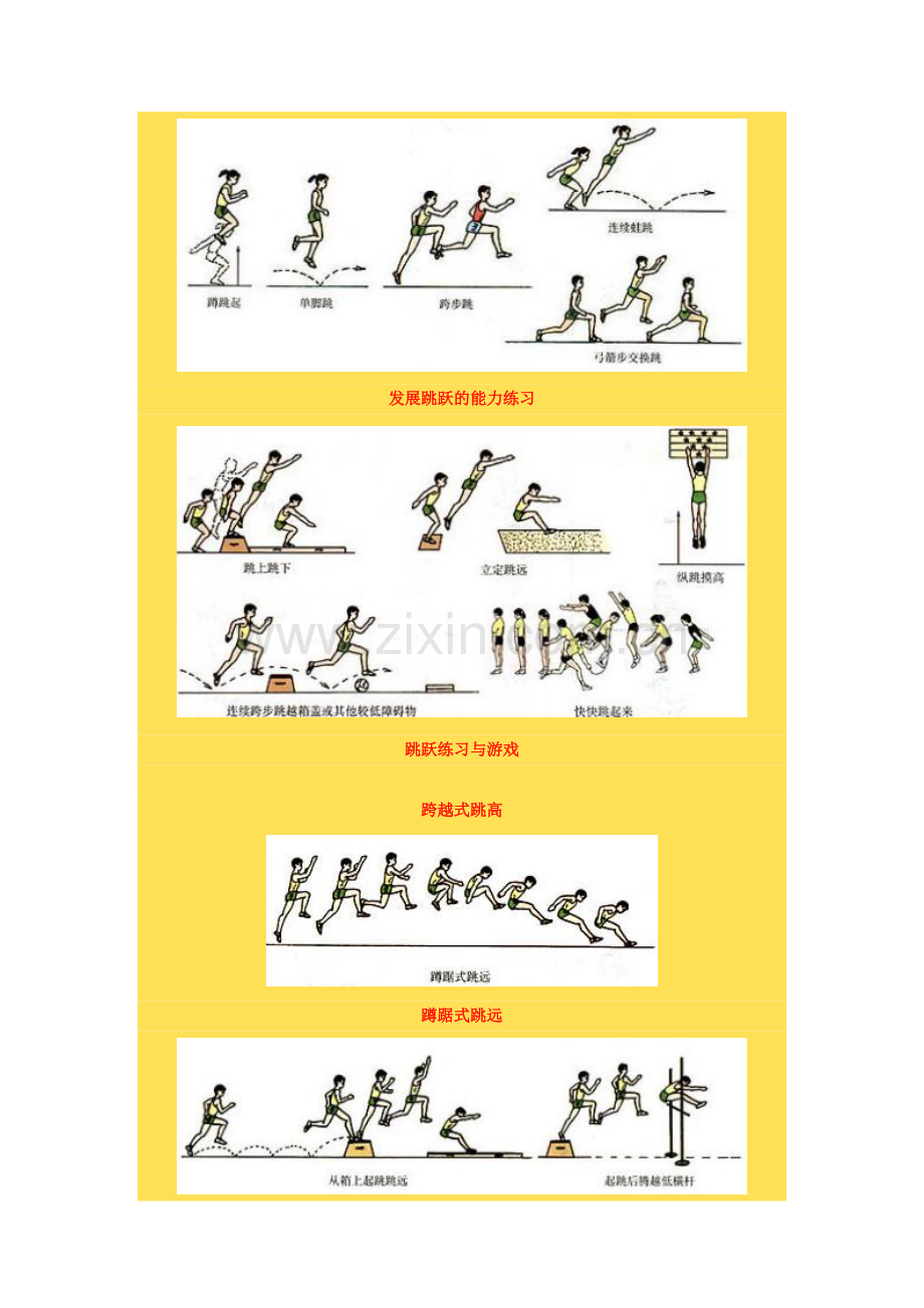 发展跳跃的能力练习.doc_第1页