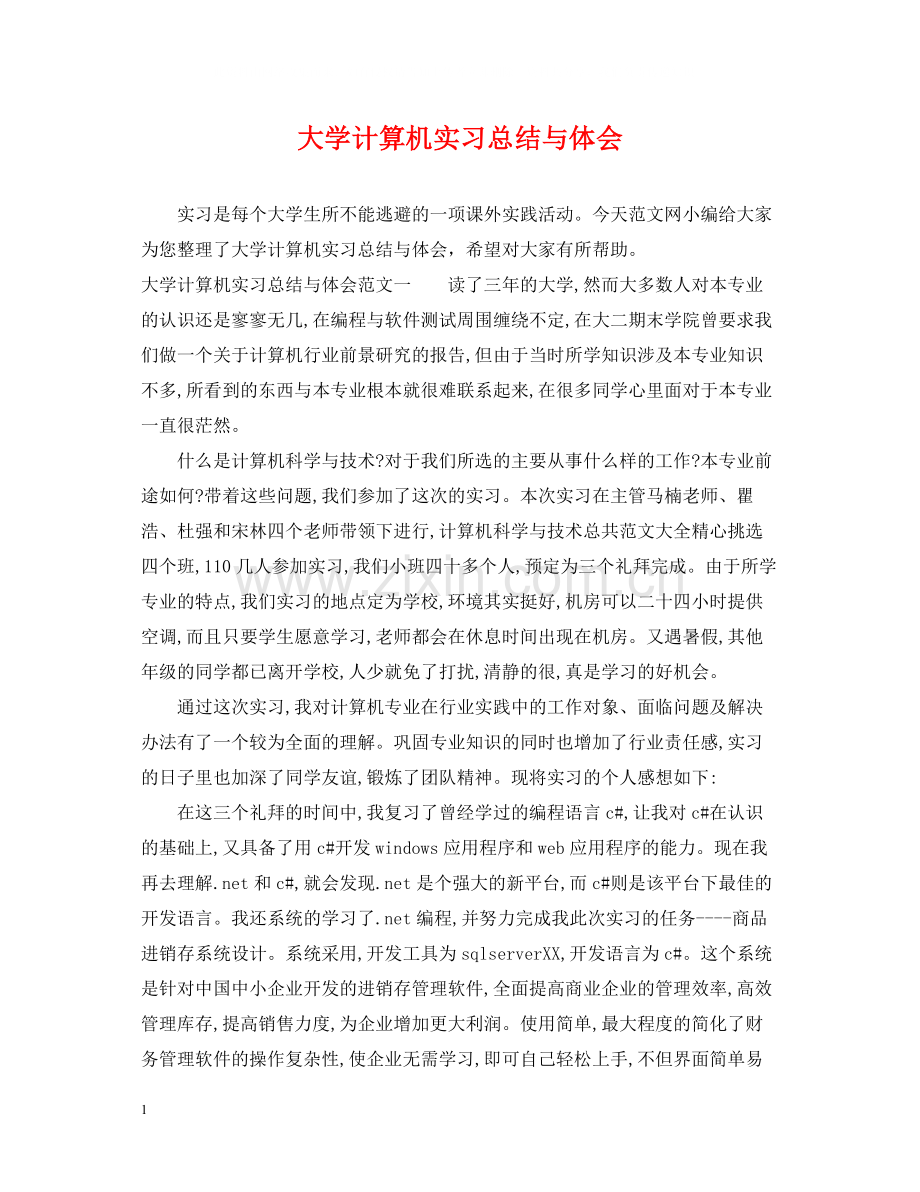 大学计算机实习总结与体会.docx_第1页