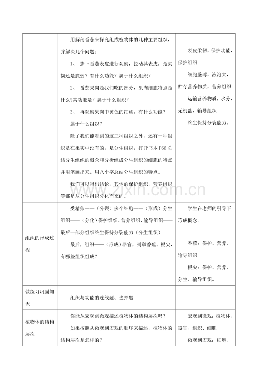七年级生物上册 第二单元 第二章 第三节 植物体的结构层次教案2 （新版）新人教版-（新版）新人教版初中七年级上册生物教案.doc_第2页