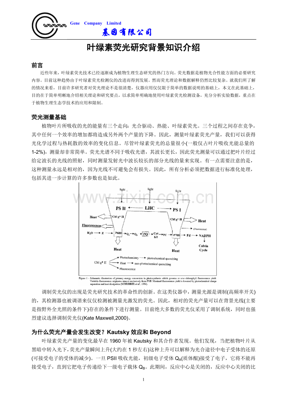 叶绿素荧光研究背景知识介绍.doc_第1页