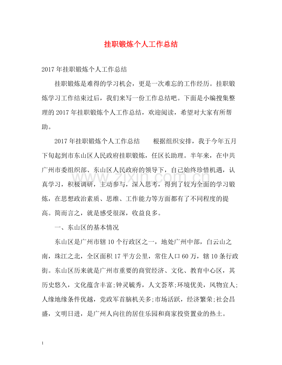 挂职锻炼个人工作总结2.docx_第1页
