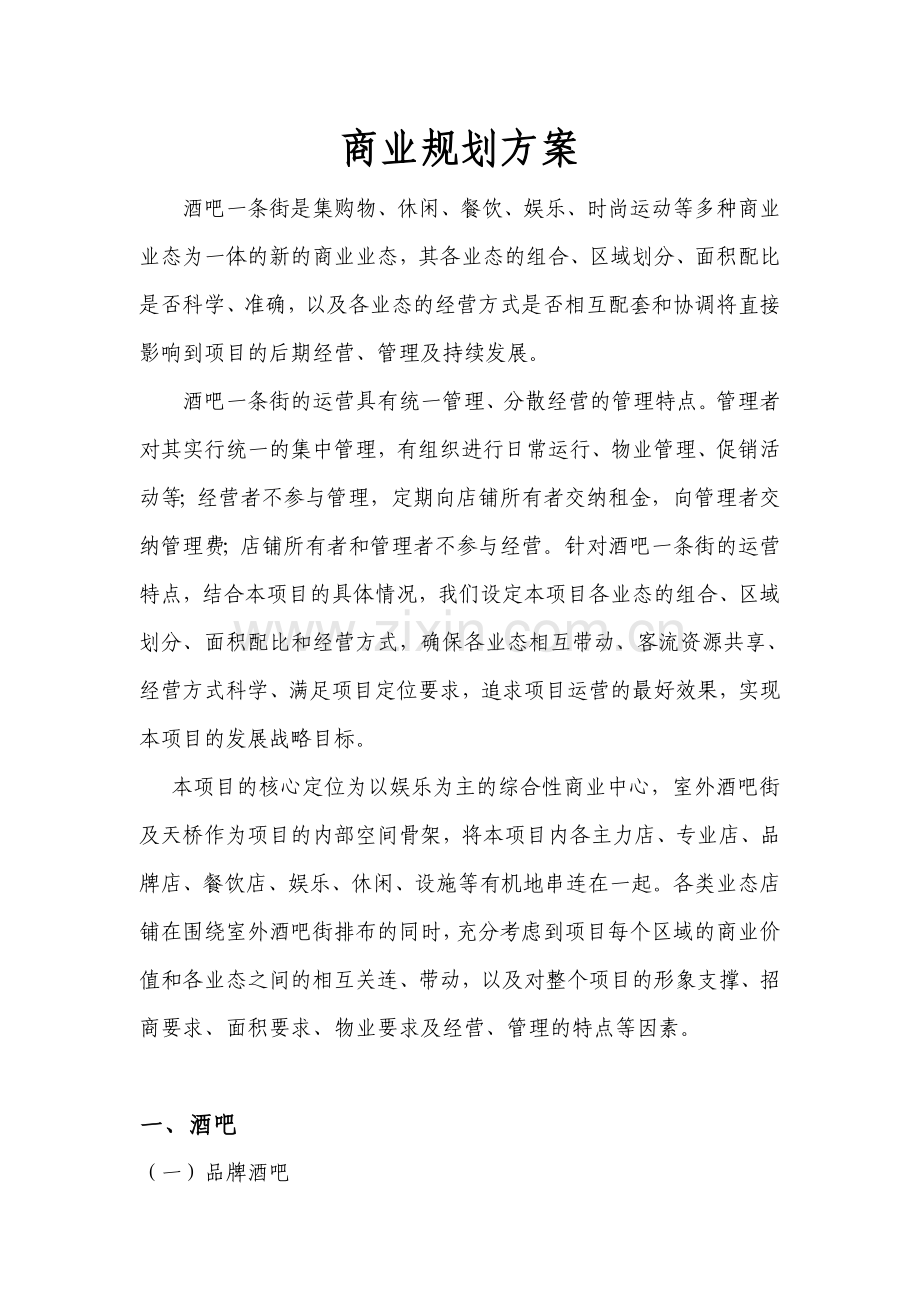 酒吧街商业规划方案.doc_第1页