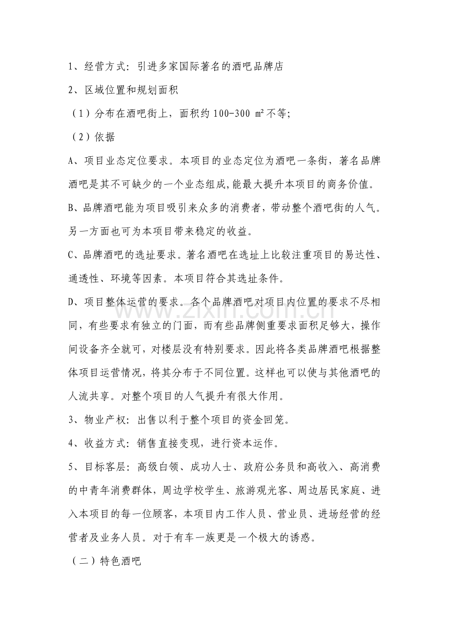 酒吧街商业规划方案.doc_第2页
