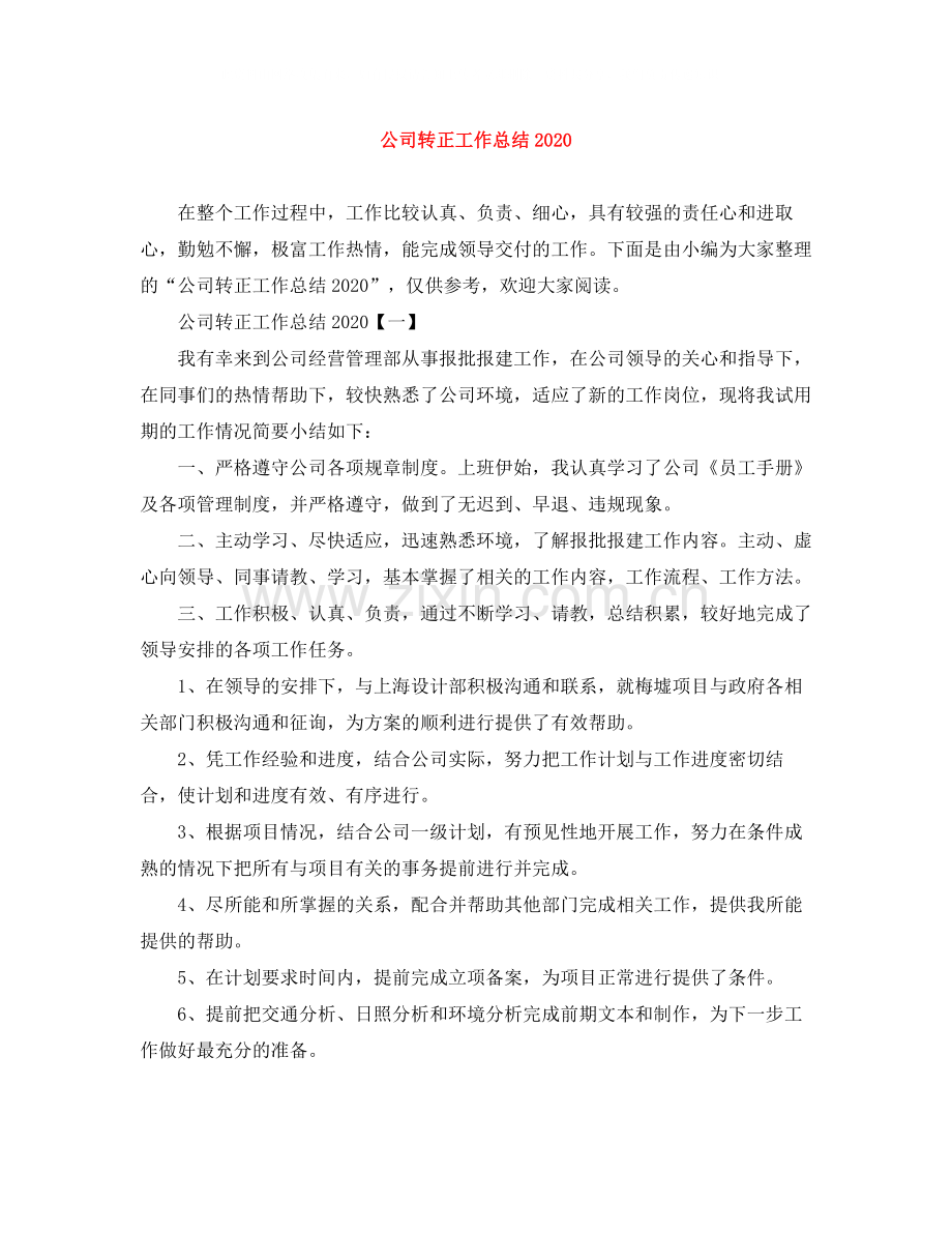 公司转正工作总结.docx_第1页