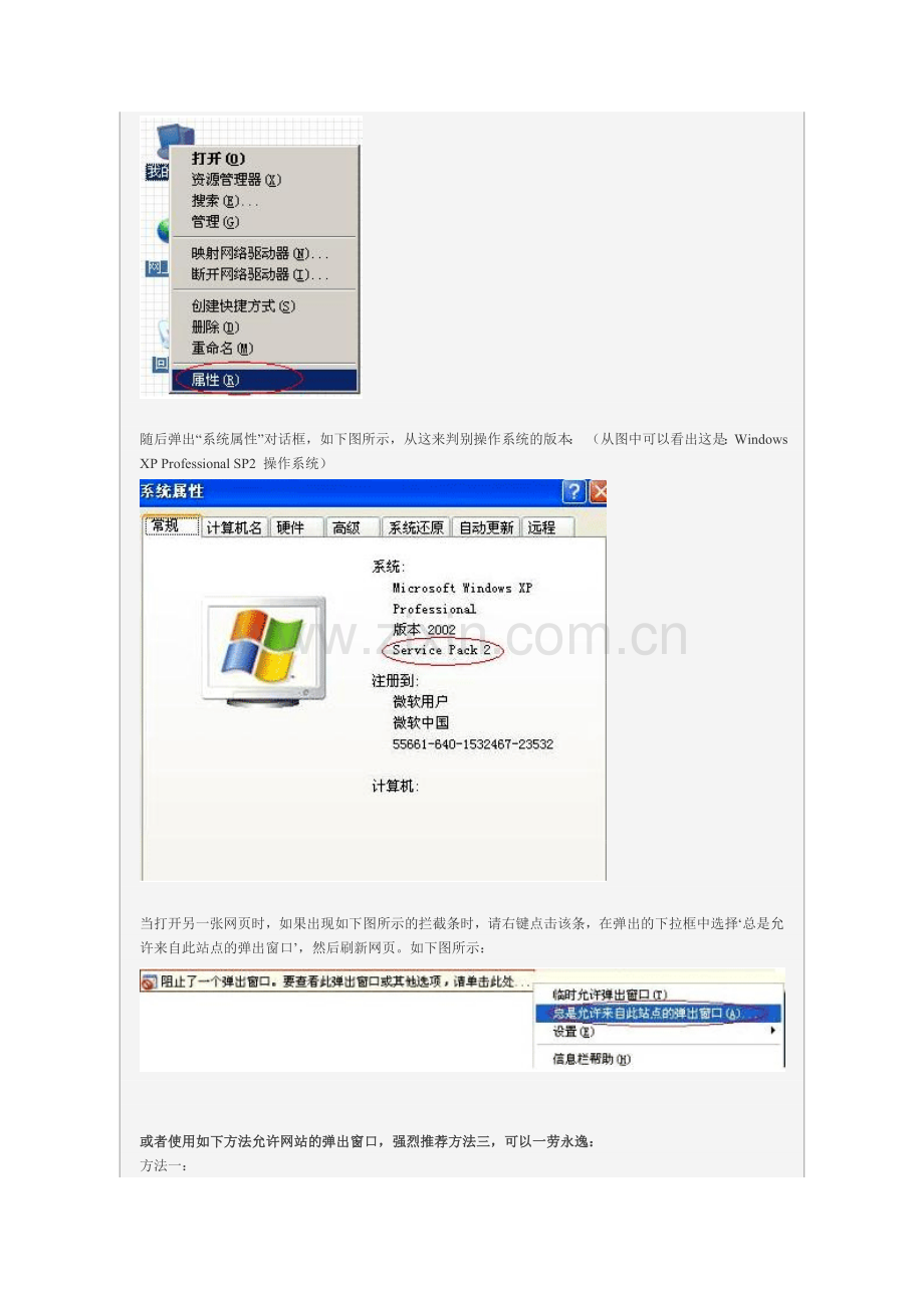 允许浏览器弹出窗口的设置方法.doc_第2页