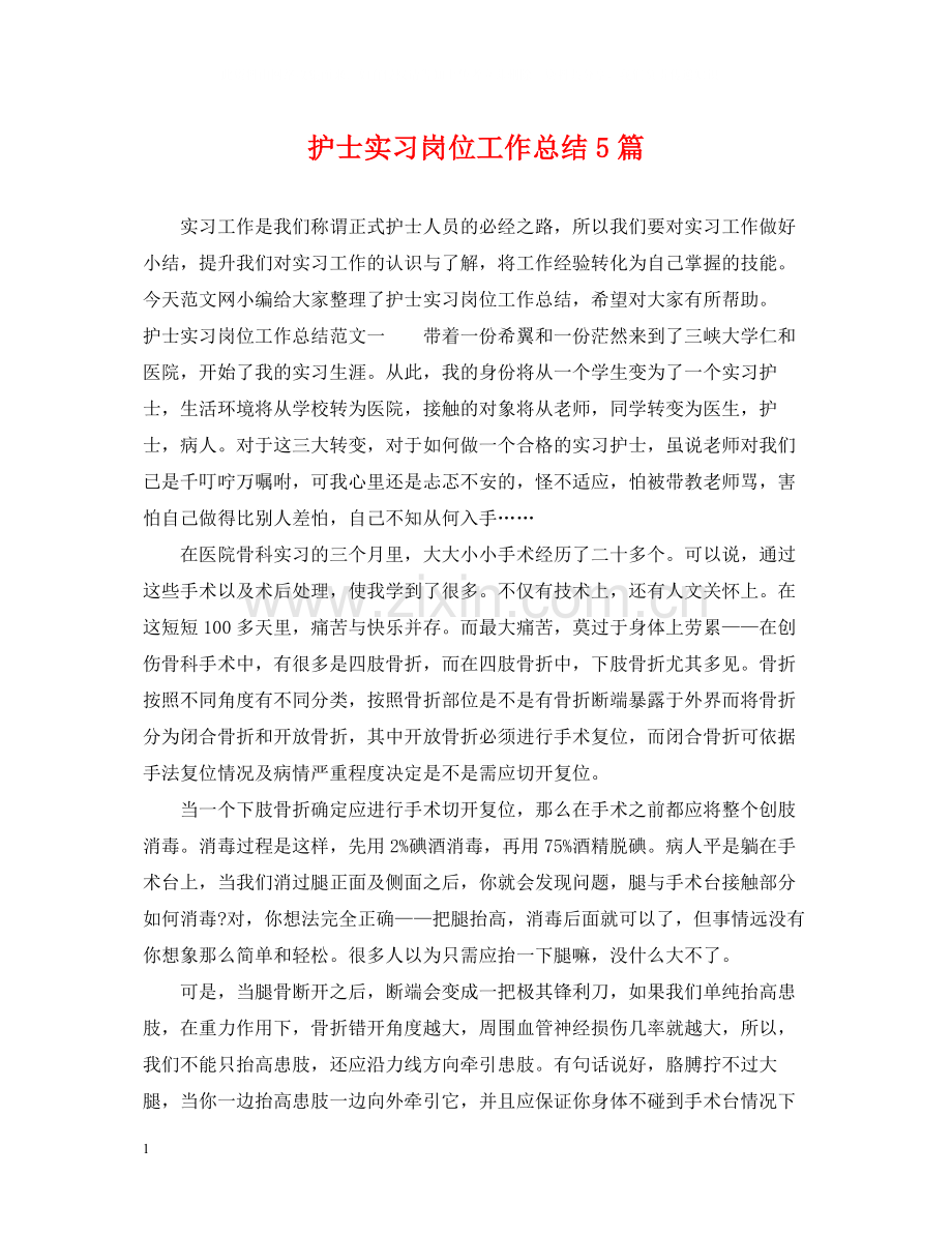 护士实习岗位工作总结5篇.docx_第1页