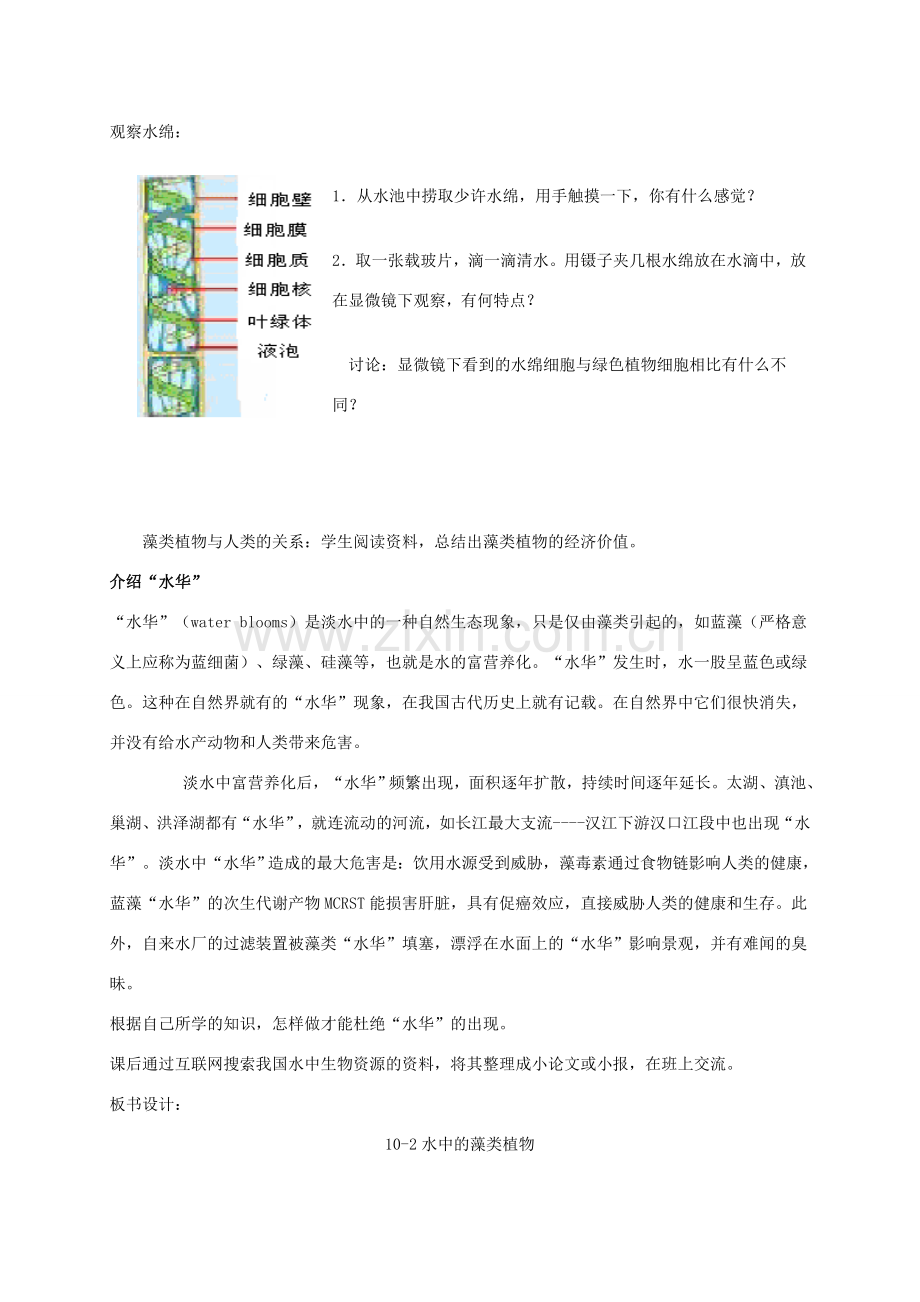 【苏科版七年级下册】第10章 水中的生物：10-2水中的藻类植物.doc_第2页