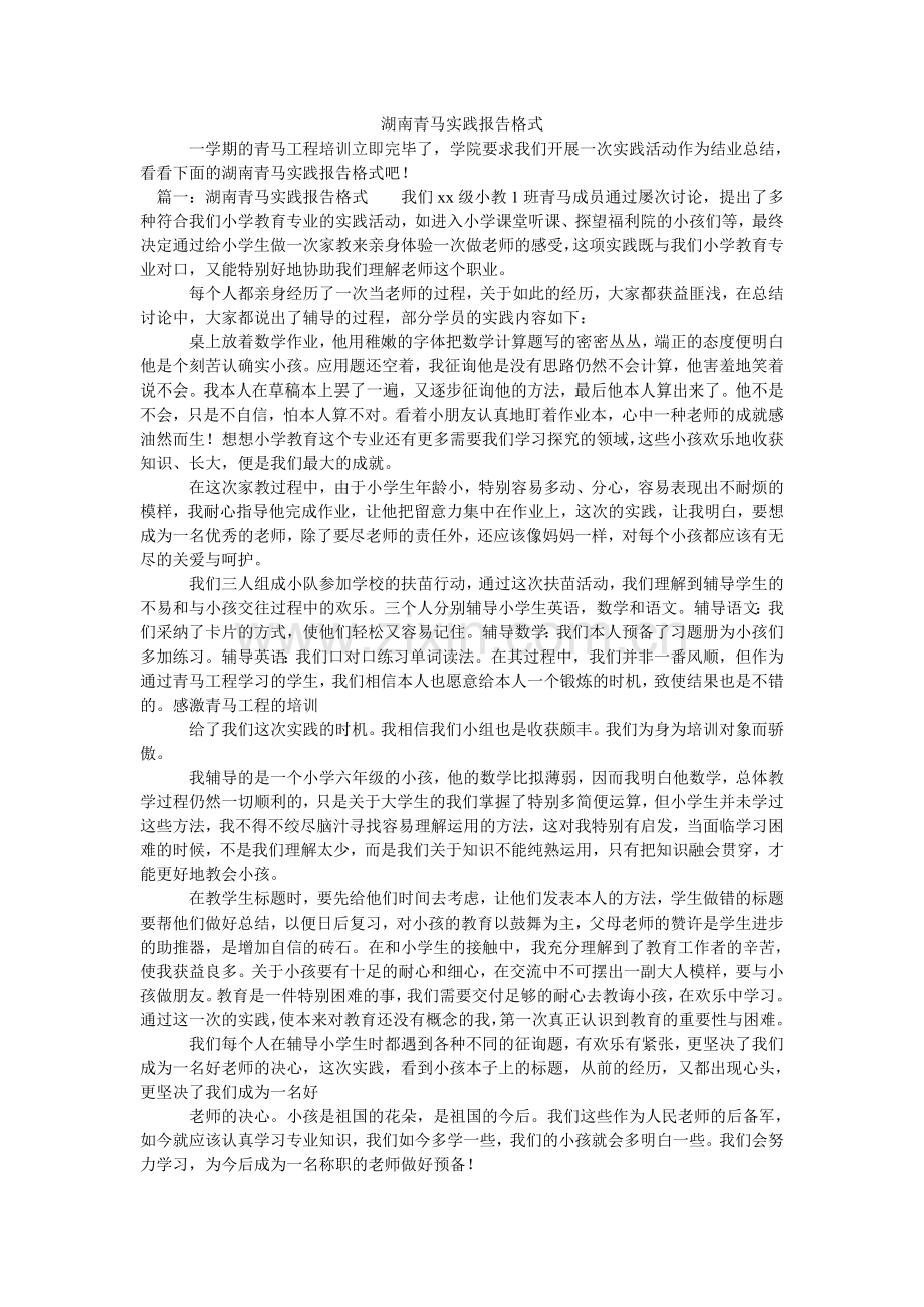 湖南青马实践报告格式.doc_第1页