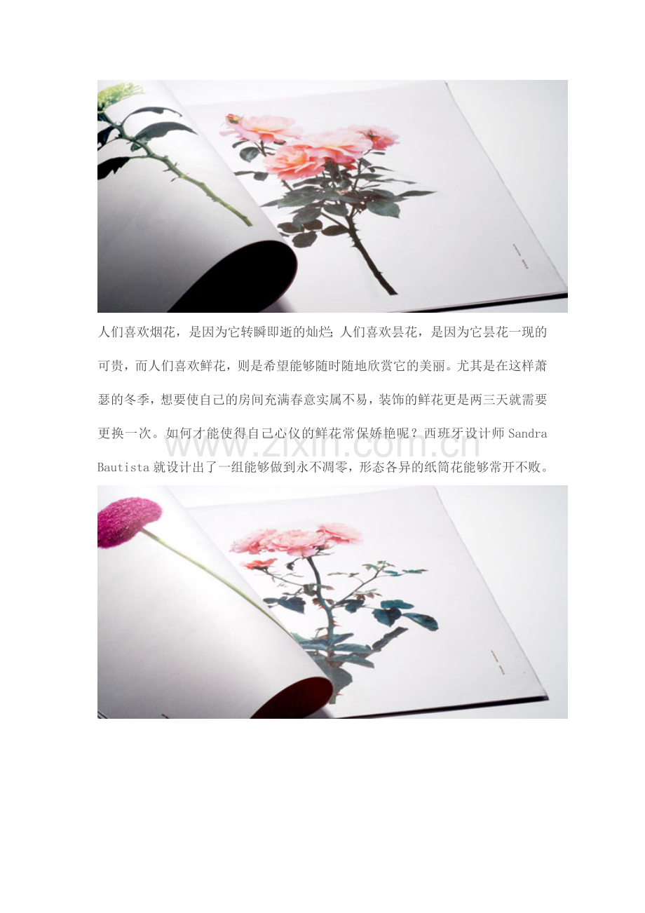 创意纸筒花-来自西班牙设计师-“常保娇艳”的浪漫花束.doc_第2页