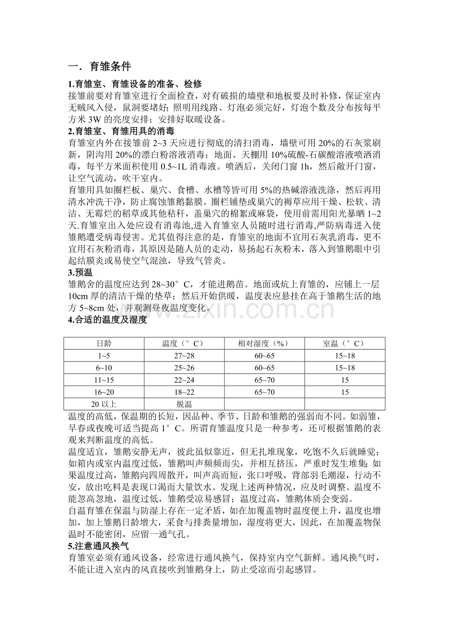雏鹅饲养技术.doc_第1页