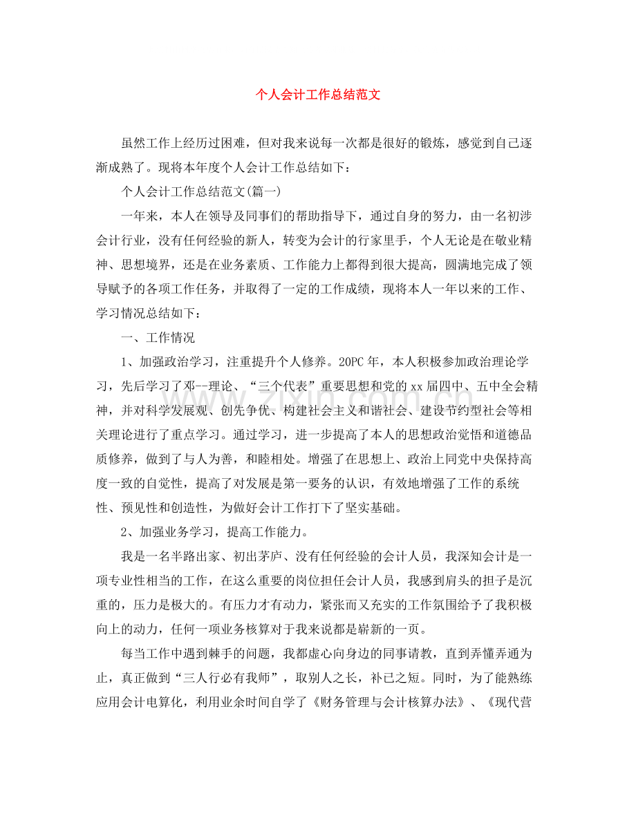 个人会计工作总结范文.docx_第1页