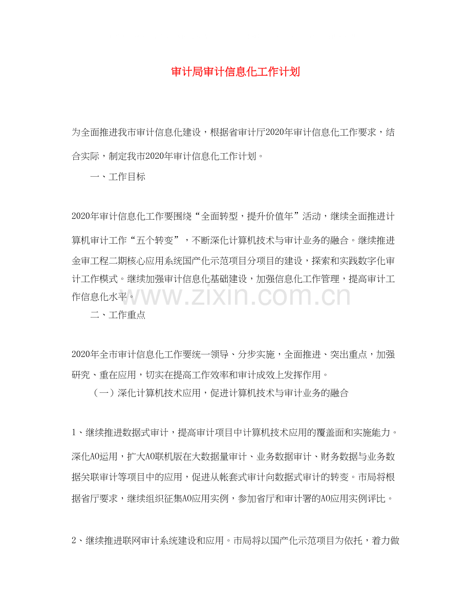 审计局审计信息化工作计划.docx_第1页
